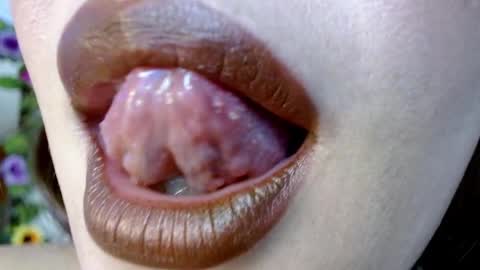 Snapshot of evolethmontenegros chatting on 12.29.24 Evoleth online show from 12.29.24