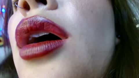 Snapshot of evolethmontenegros chatting on 12.29.24 Evoleth online show from 12.29.24