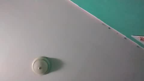 experttreecompany online show from 03.14.26