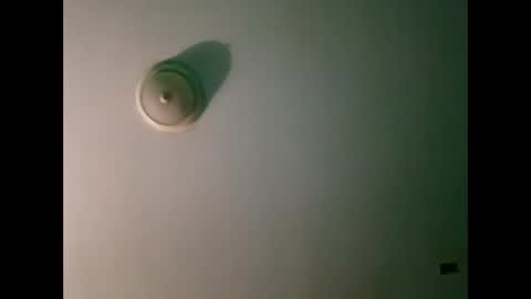 experttreecompany online show from 03.21.26