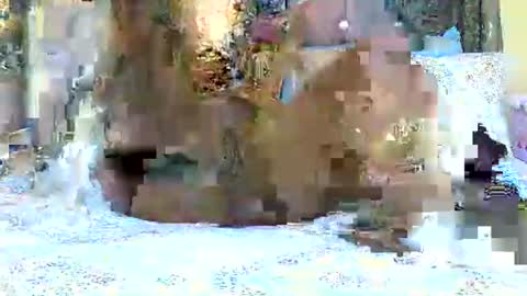 explicitly_certified online show from 03.03.25