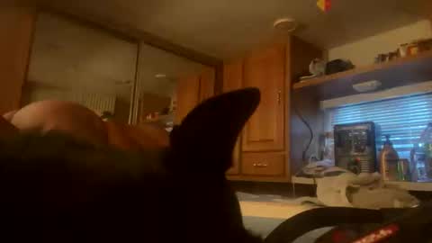 ExtendoKlit online show from 12.02.25