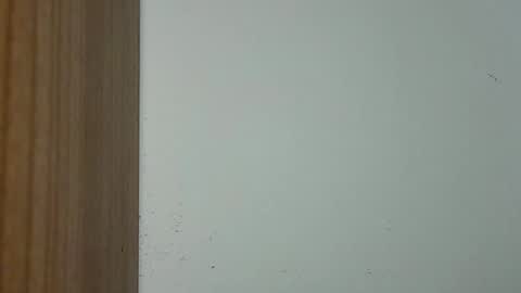 eyesight98 online show from 05.12.26