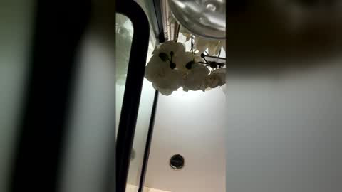 fabiolacal11 online show from 02.28.26