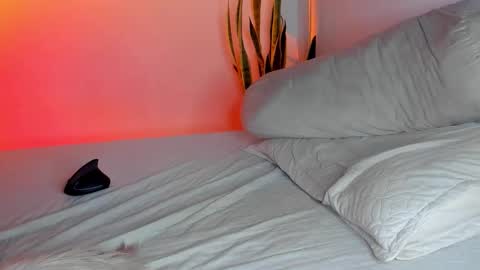 Snapshot of fabrizio_amery chatting on 11.03.25 - A N D E R online show from 11.03.25