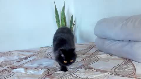 Snapshot of fabrizio_amery chatting on 01.07.26 - A N D E R online show from 01.07.26