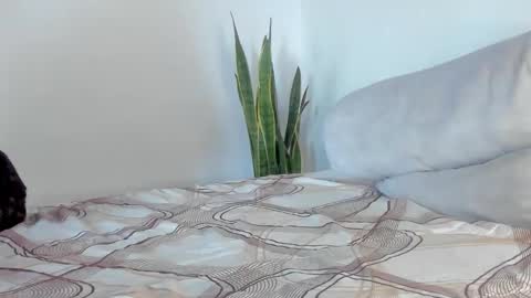 Snapshot of fabrizio_amery chatting on 01.11.26 - A N D E R online show from 01.11.26