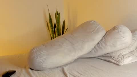 Snapshot of fabrizio_amery chatting on 01.13.26 - A N D E R online show from 01.13.26