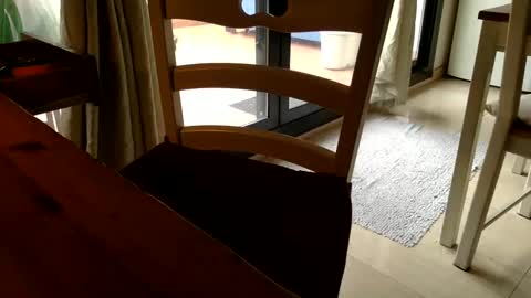 Snapshot of fabro45 chatting on 03.06.25 Fabro online show from 03.06.25