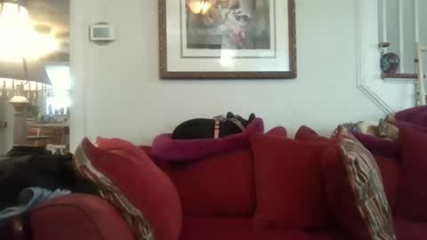 fairmount31 online show from 11.07.25