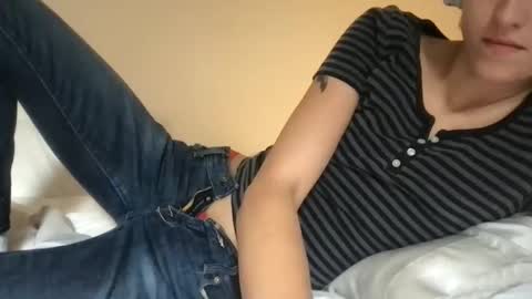 Snapshot of fakenshitsis chatting on 11.20.25 Haydee online show from 11.20.25