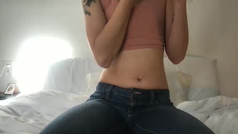 Snapshot of fakenshitsis chatting on 12.01.25 Haydee online show from 12.01.25