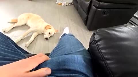 faker1414 online show from 03.19.26