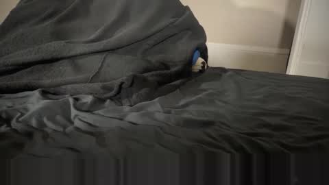 Snapshot of fangofox chatting on 01.12.26 Fango online show from 01.12.26