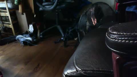 Shawn online show from 09.15.25