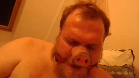 Snapshot of fckcbacc89 chatting on 06.20.26 Horny Fat Boy online show from 06.20.26