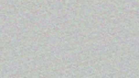 FeleenaFux online show from 05.03.26