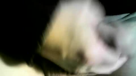 Snapshot of felicaste chatting on 02.09.25 felicaste online show from 02.09.25