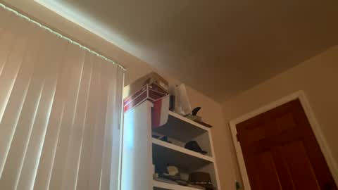 felicitybliss29 online show from 12.03.24