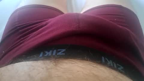 Snapshot of felixske chatting on 02.11.25 felixske online show from 02.11.25