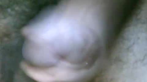 Snapshot of fer_2197 chatting on 10.31.25 fer_2197 online show from 10.31.25