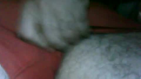 Snapshot of fer_2197 chatting on 11.13.25 fer_2197 online show from 11.13.25