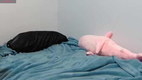 FE fee online show from 01.12.25