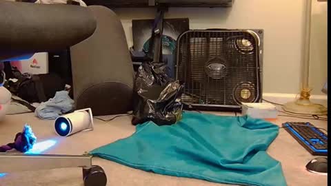 FE fee online show from 10.06.25