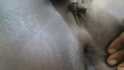 Ferie online show from 09.27.25