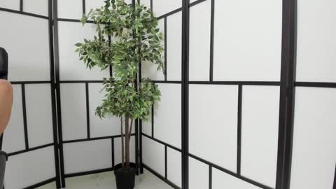 fetish_life online show from 01.11.25