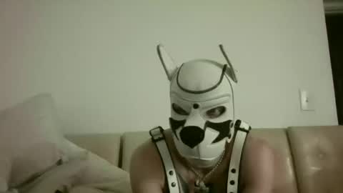 fetishsearch1abdl online show from 09.25.25