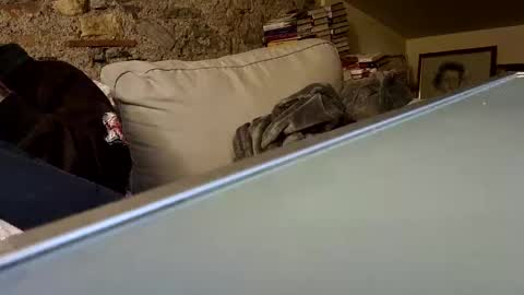 Fid online show from 01.28.25