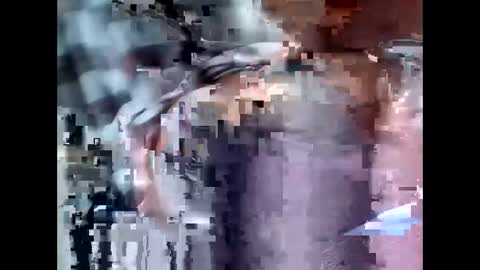 fifipan online show from 05.09.26