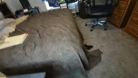 Snapshot of filfaonyx chatting on 11.04.25 filfaonyx online show from 11.04.25