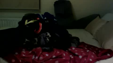 Snapshot of fitbut chatting on 01.30.25 Fitbut online show from 01.30.25