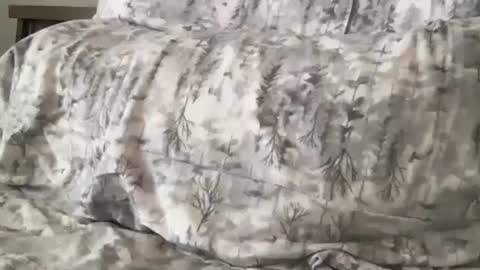 Snapshot of fitcollegestudxx chatting on 02.17.25 FitCollegeStudxx online show from 02.17.25