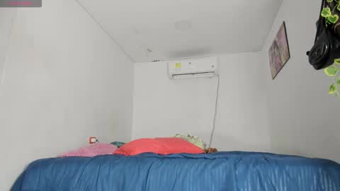    online show from 11.11.25