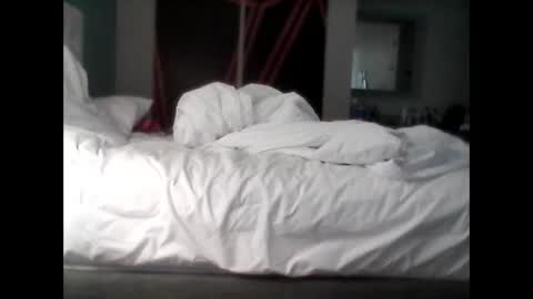 foeydog2024 online show from 02.01.26