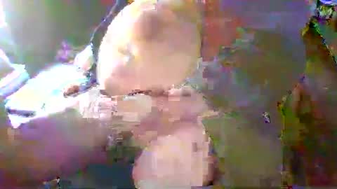 Terry Bangcock online show from 01.18.25