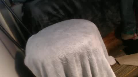 forestnymphpdx online show from 12.20.24