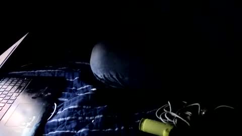 forestnymphpdx online show from 10.22.25