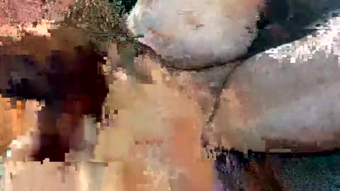 foxhole23 online show from 09.13.25