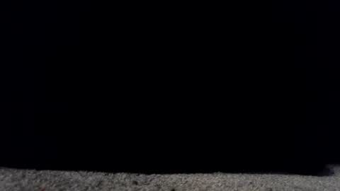 Snapshot of francescafey chatting on 03.17.26 francescafey online show from 03.17.26