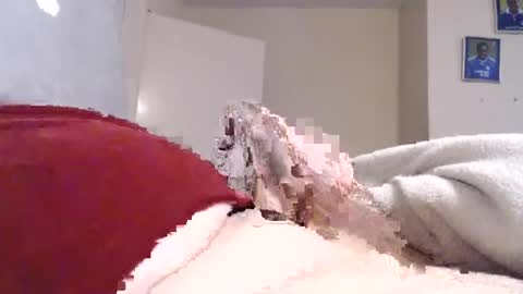 frankiel745 online show from 12.09.24