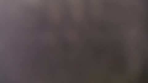 Snapshot of frasalv chatting on 05.15.26 francescosal online show from 05.15.26