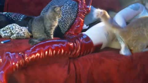 freakyspun101 online show from 01.13.25