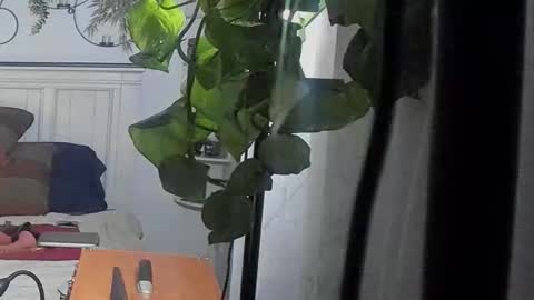 Snapshot of freespirt2 chatting on 02.16.26 freespirt2 online show from 02.16.26