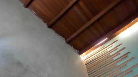 Xavier online show from 03.06.26