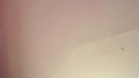 FREYJA LOREN online show from 02.25.25