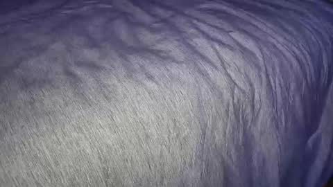 FreyaTheGemini online show from 01.07.25